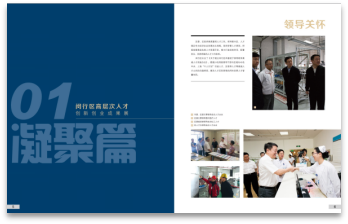 图片31