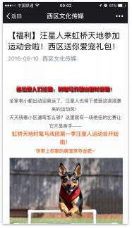 图片6